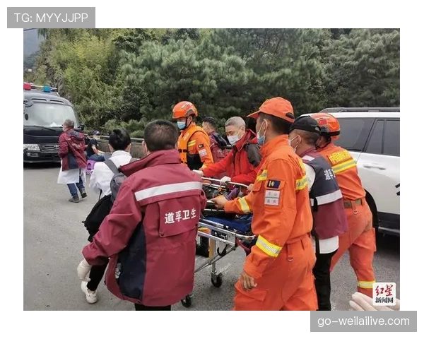 队医入场规则详细拆解:什么情况下允许中断比赛救治球员? 队医入场规则详细拆解:什么情况下允许中断比赛救治球员?