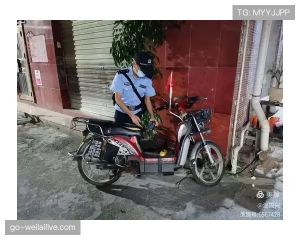 黄牌警告规则解析：判罚依据与累计处罚标准详解